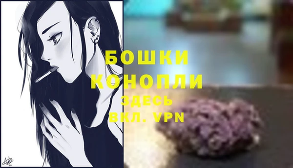кокс Белокуриха