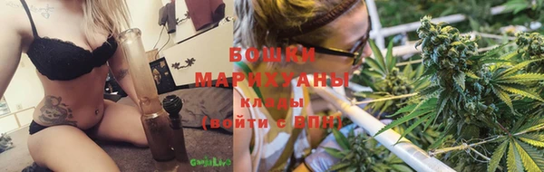 кокс Белокуриха